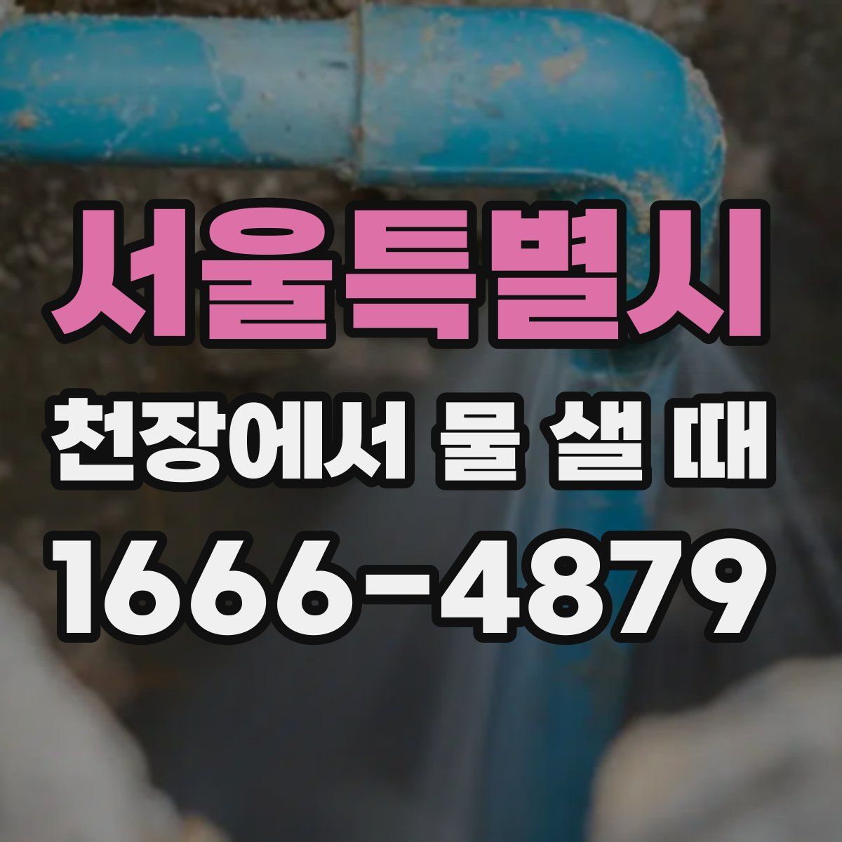 서울특별시 천장에서 물 샐 때