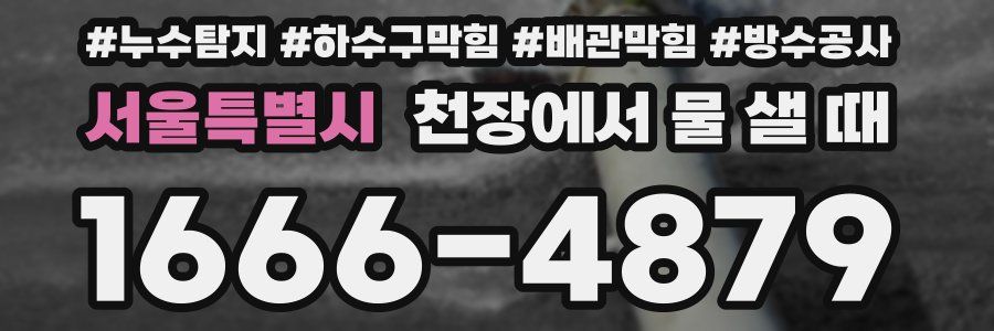 서울특별시 천장에서 물 샐 때