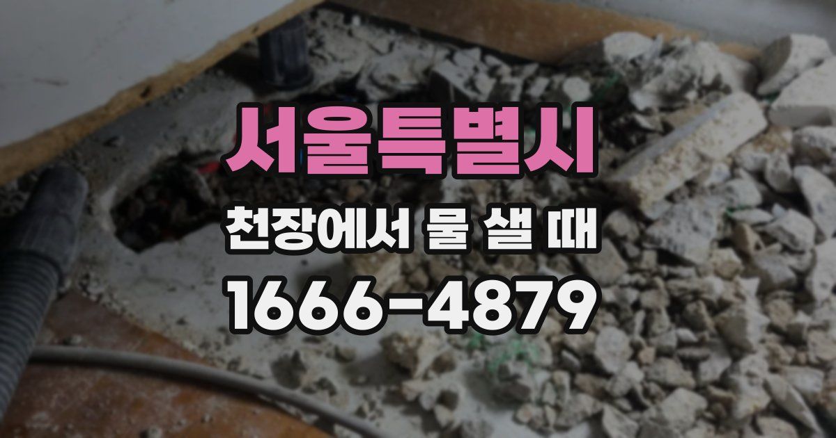 서울특별시 천장에서 물 샐 때