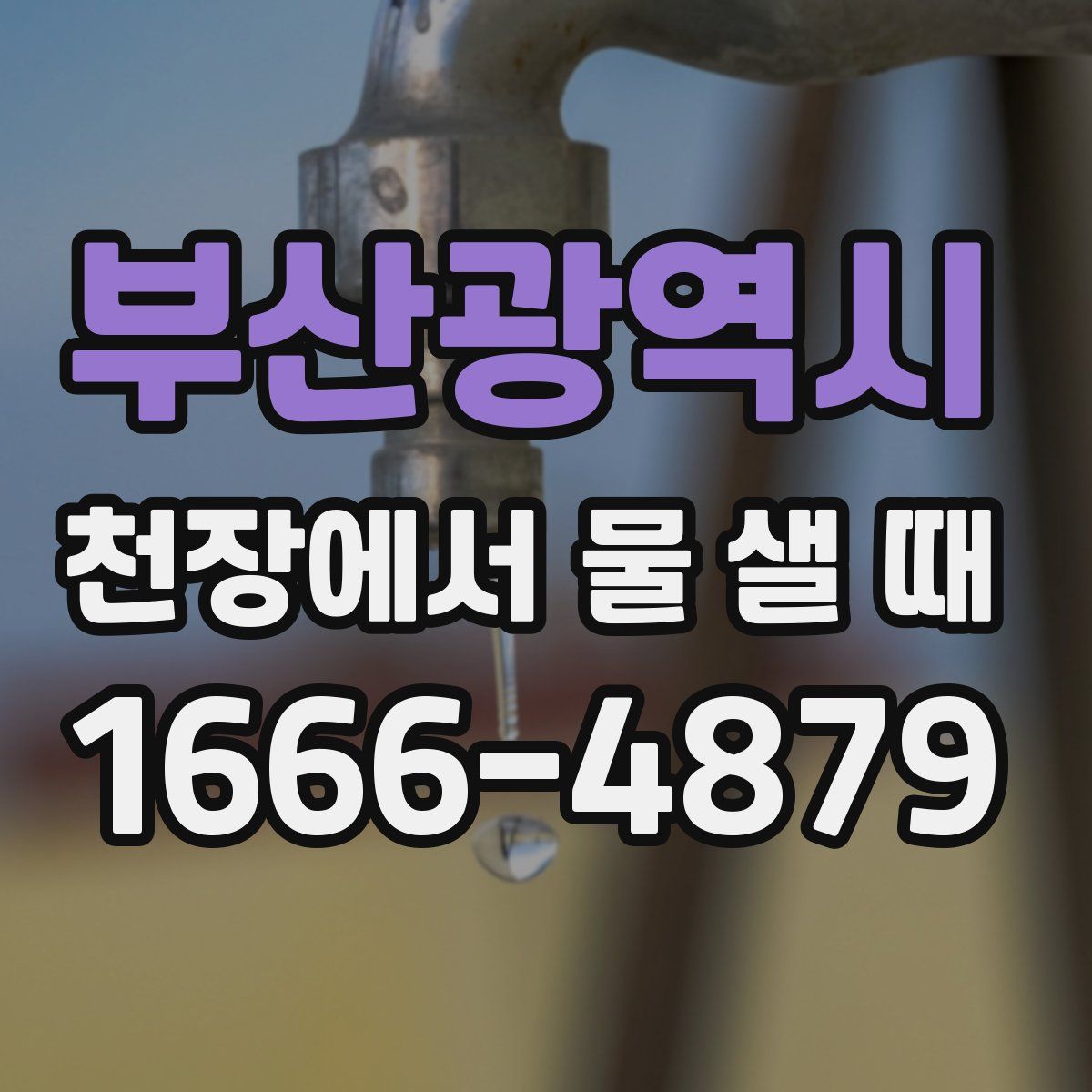부산광역시 천장에서 물 샐 때