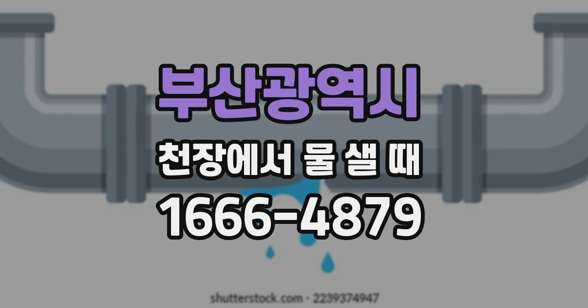 부산광역시 천장에서 물 샐 때