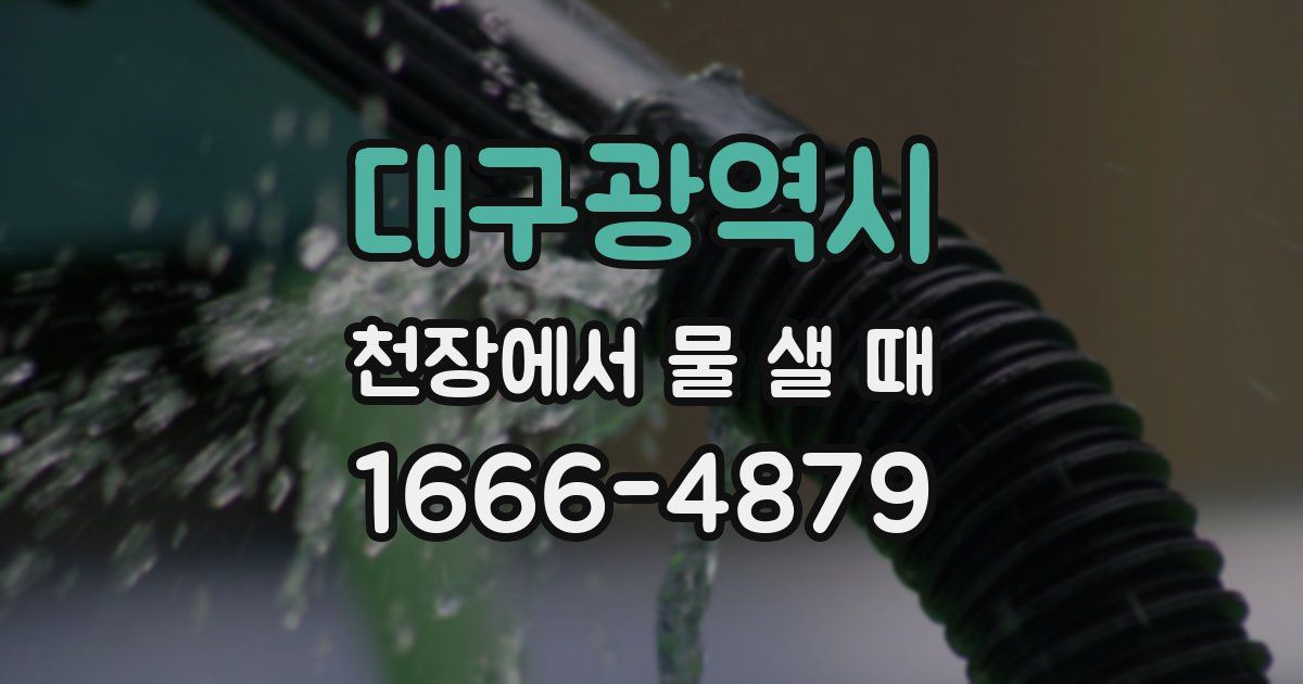 대구광역시 천장에서 물 샐 때