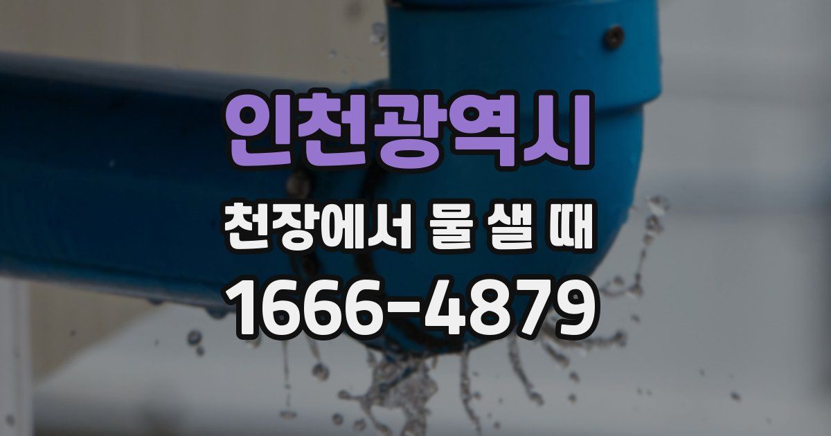 인천광역시 천장에서 물 샐 때