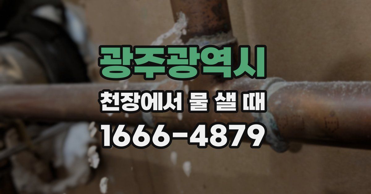 광주광역시 천장에서 물 샐 때