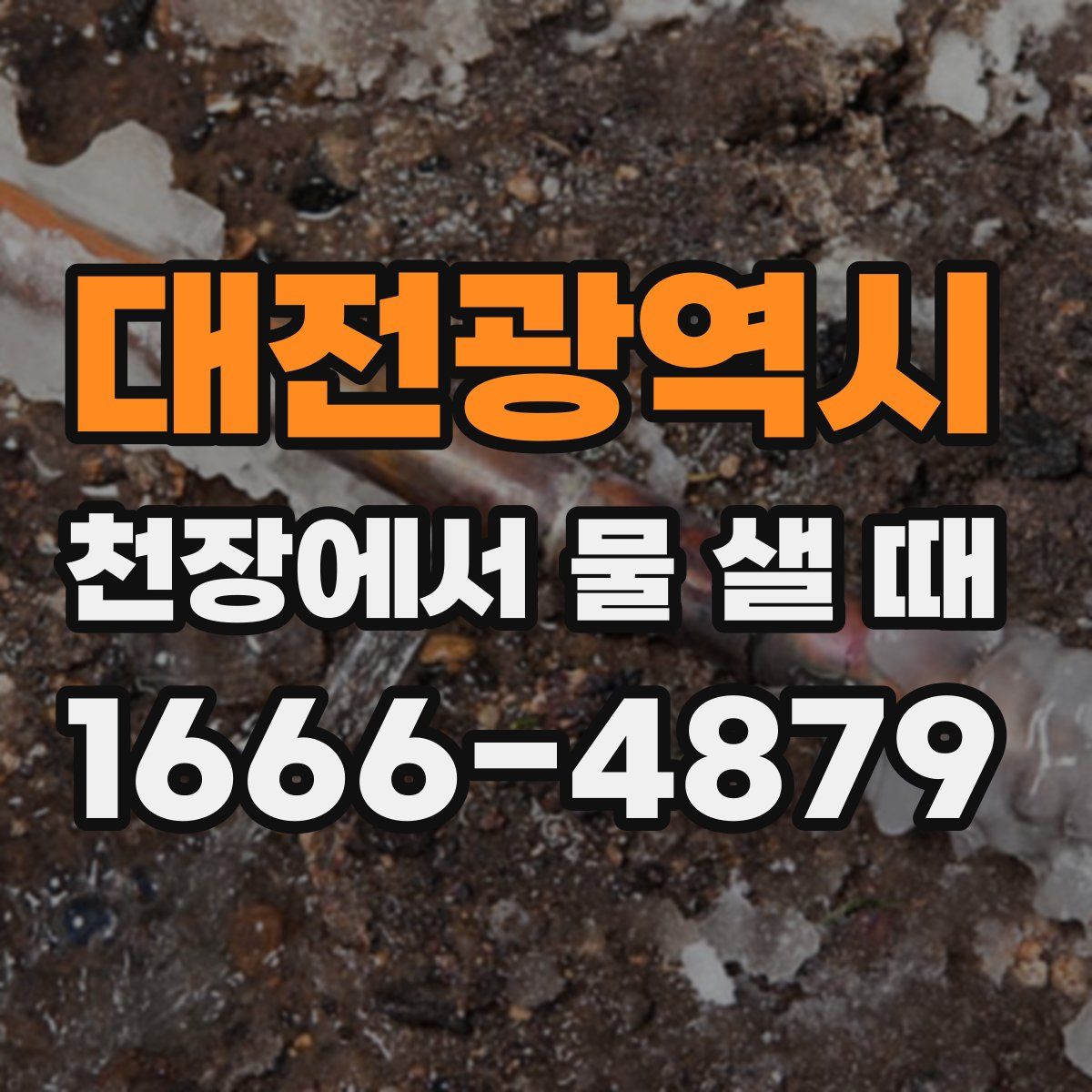 대전광역시 천장에서 물 샐 때