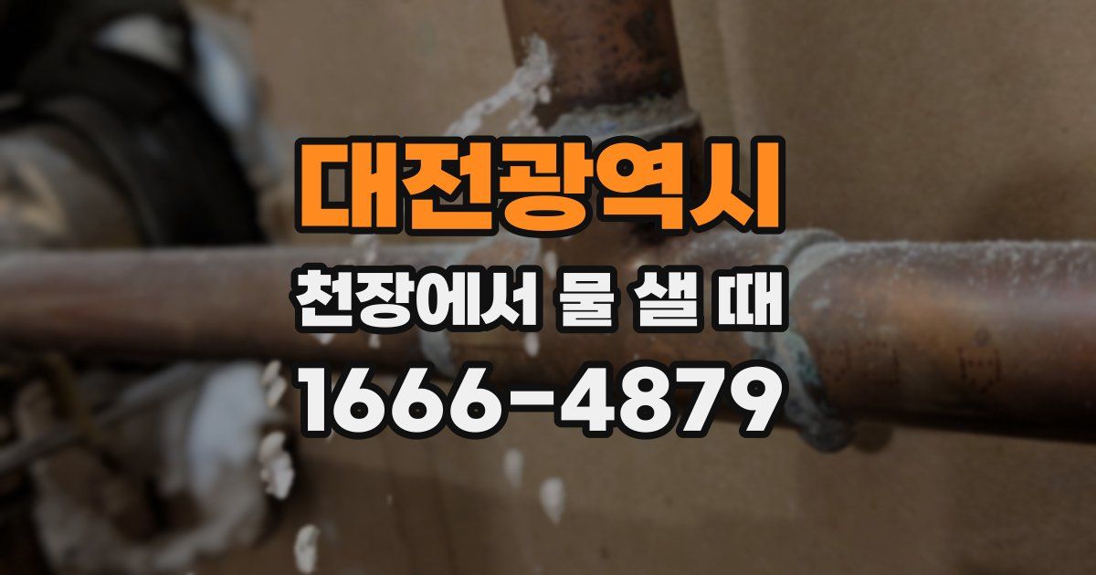 대전광역시 천장에서 물 샐 때