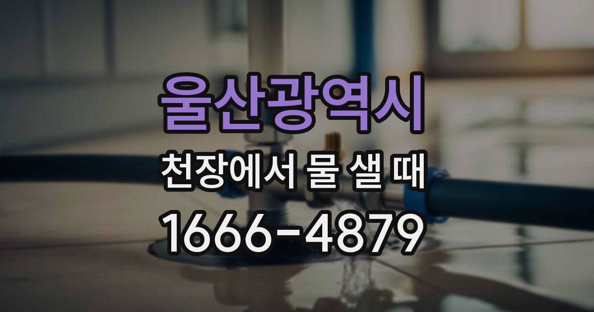 울산광역시 천장에서 물 샐 때