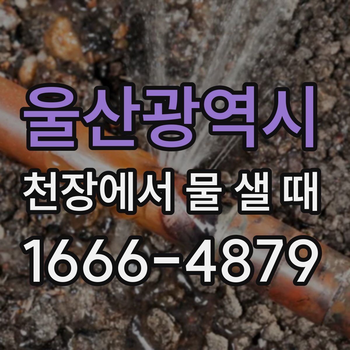 울산광역시 천장에서 물 샐 때