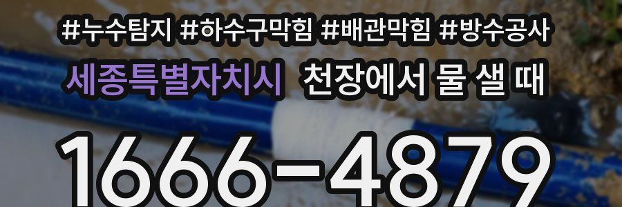 세종특별자치시 천장에서 물 샐 때