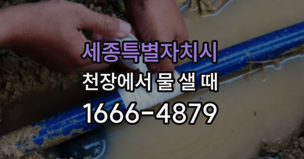 세종특별자치시 천장에서 물 샐 때