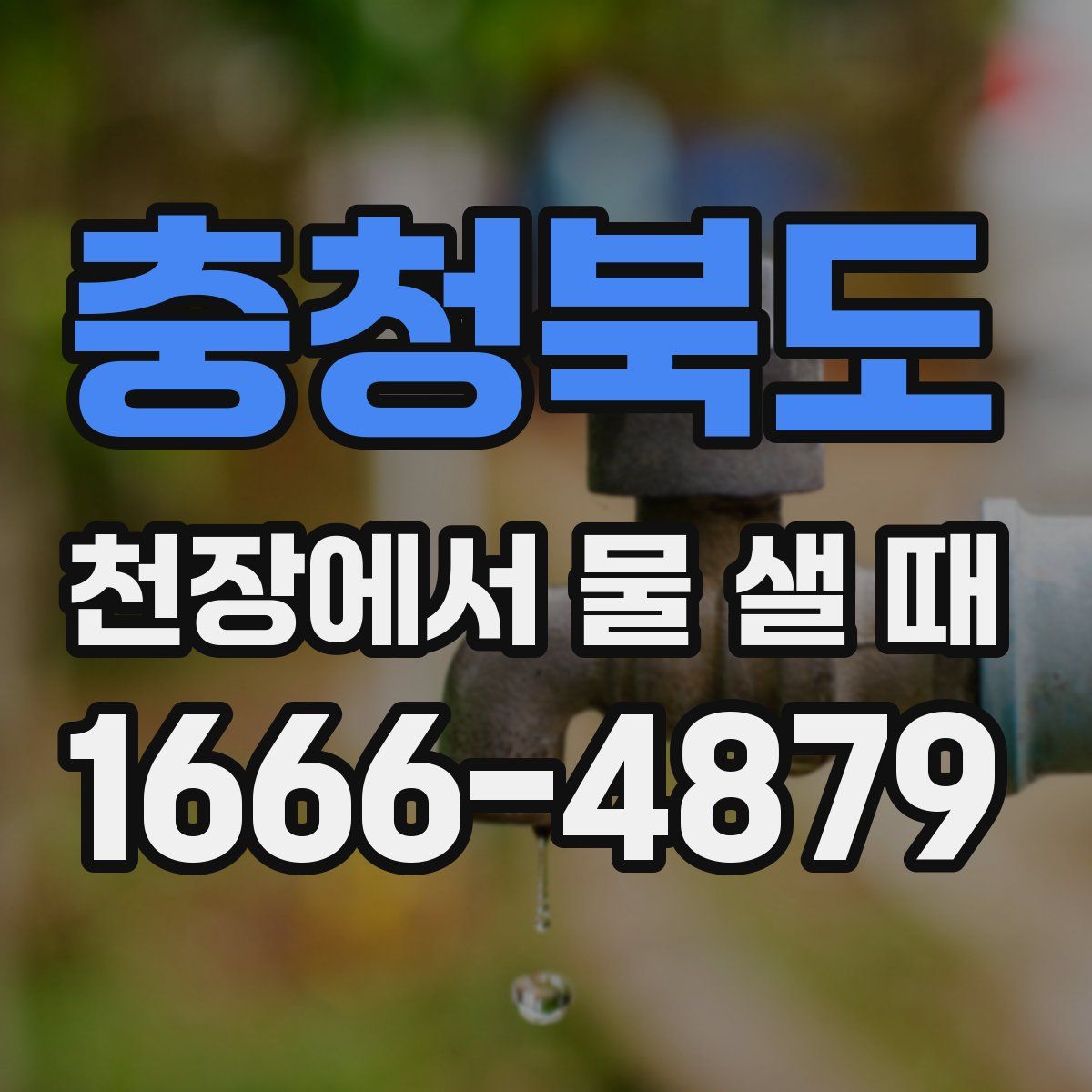 충청북도 천장에서 물 샐 때