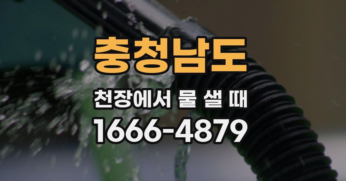 충청남도 천장에서 물 샐 때