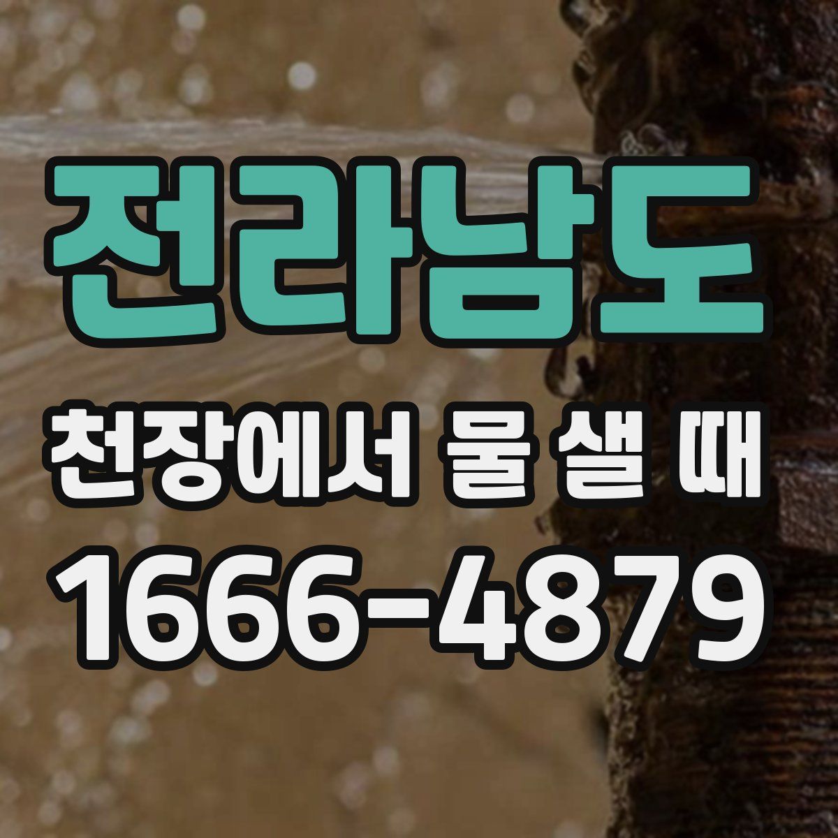 전라남도 천장에서 물 샐 때