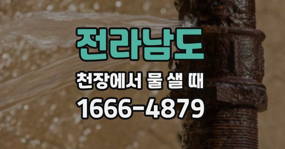 전라남도 천장에서 물 샐 때