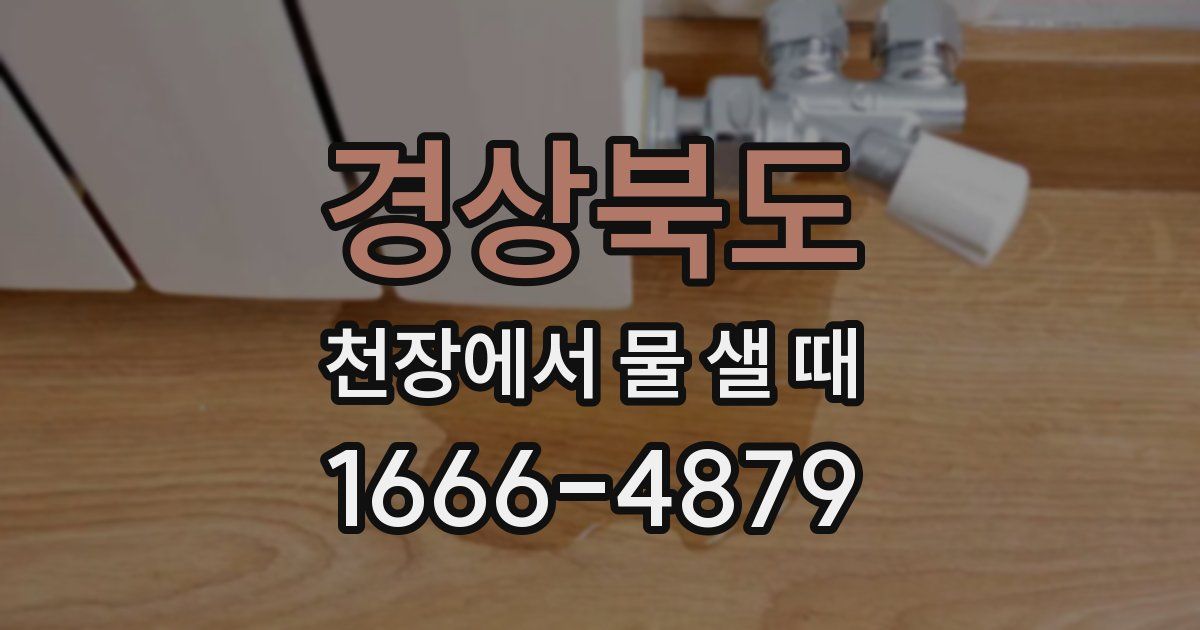 경상북도 천장에서 물 샐 때