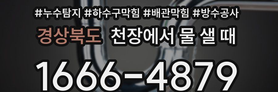 경상북도 천장에서 물 샐 때