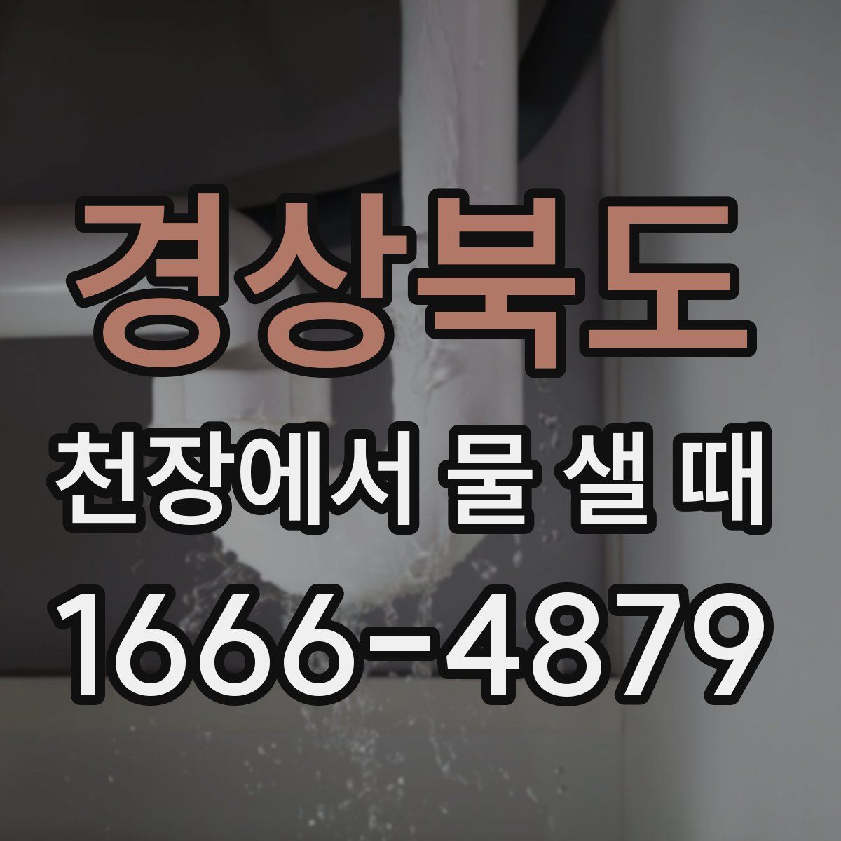 경상북도 천장에서 물 샐 때