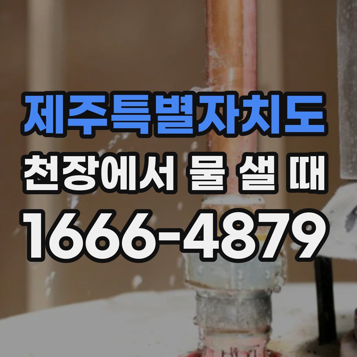 제주특별자치도 천장에서 물 샐 때
