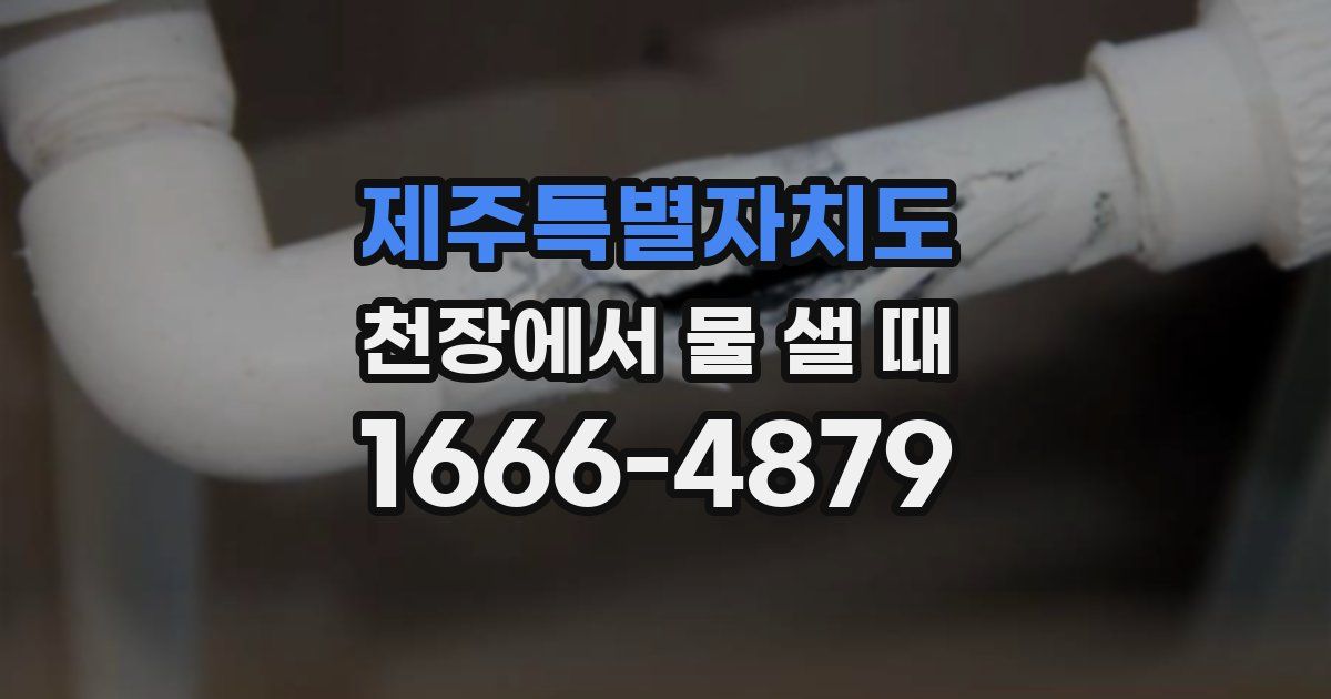 제주특별자치도 천장에서 물 샐 때