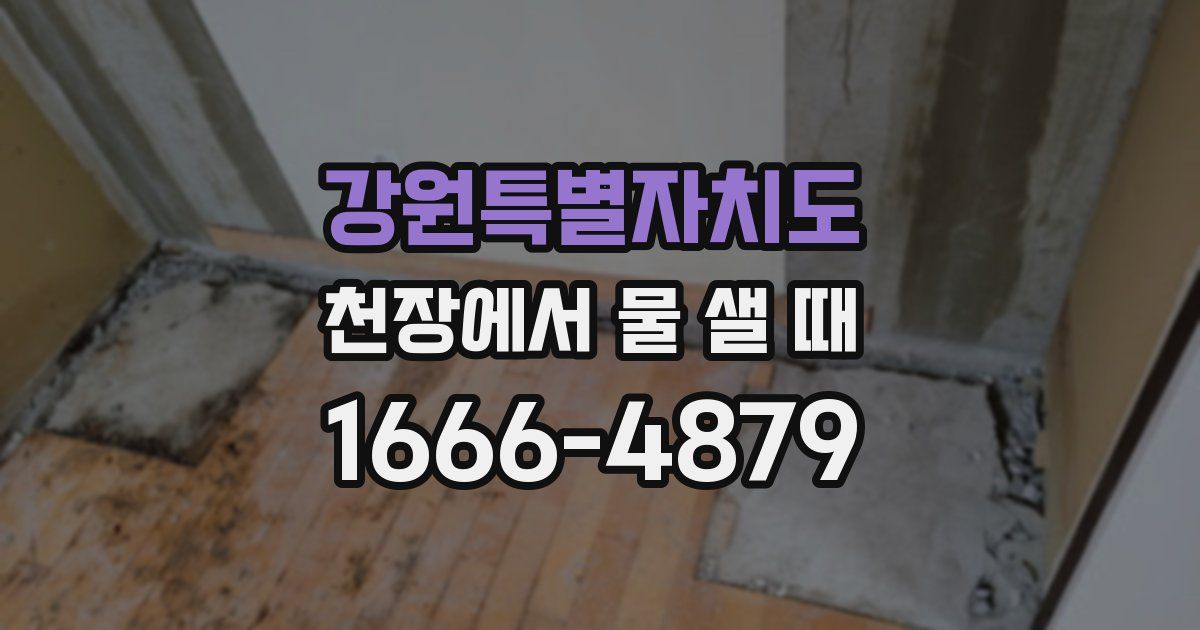 강원특별자치도 천장에서 물 샐 때