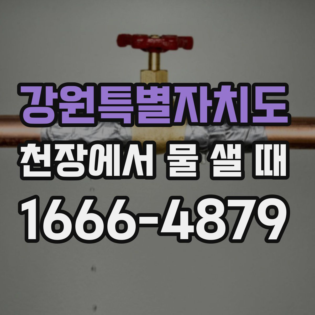 강원특별자치도 천장에서 물 샐 때