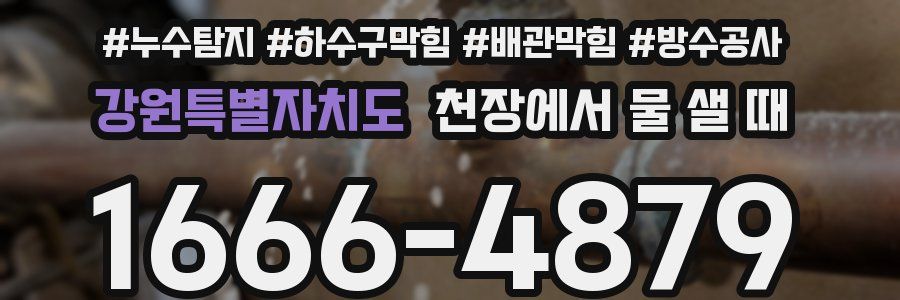 강원특별자치도 천장에서 물 샐 때