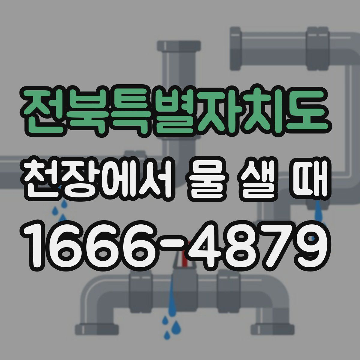 전북특별자치도 천장에서 물 샐 때