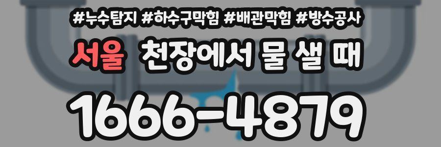 서울 천장에서 물 샐 때