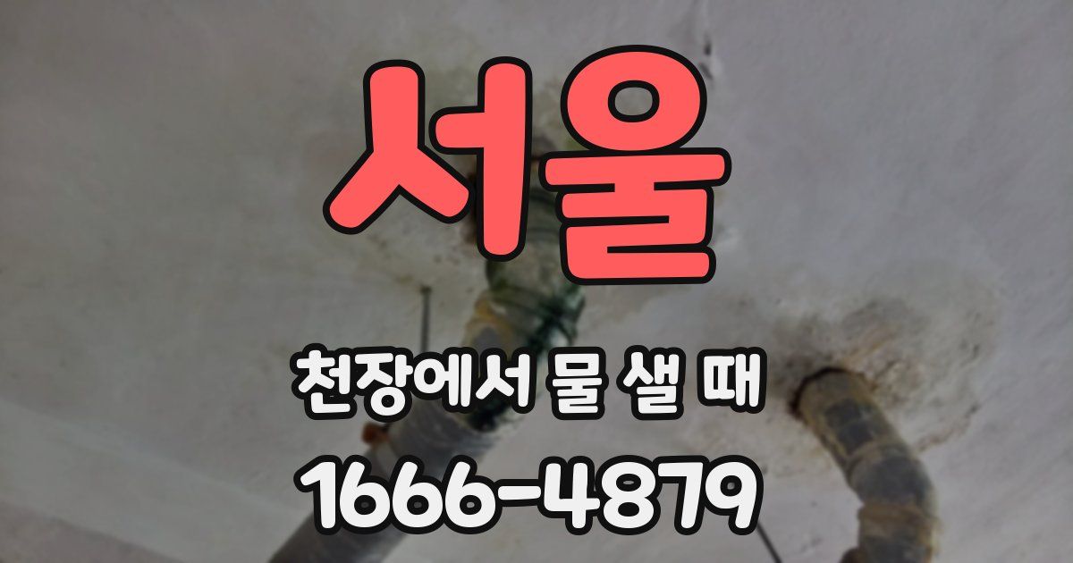 서울 천장에서 물 샐 때