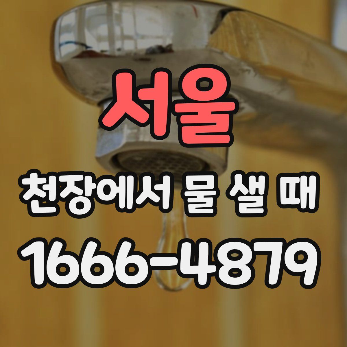 서울 천장에서 물 샐 때