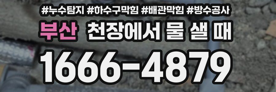 부산 천장에서 물 샐 때