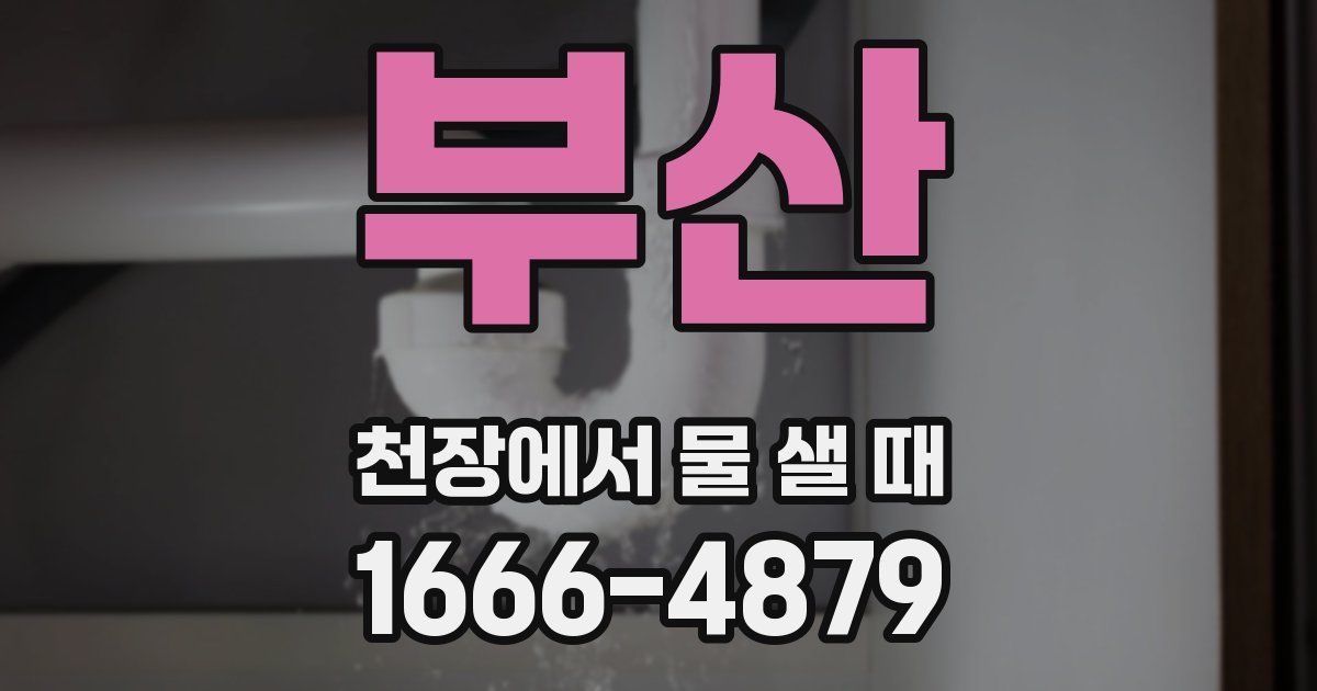 부산 천장에서 물 샐 때