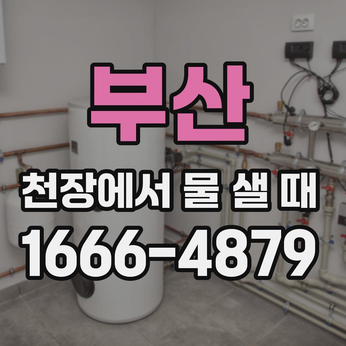 부산 천장에서 물 샐 때