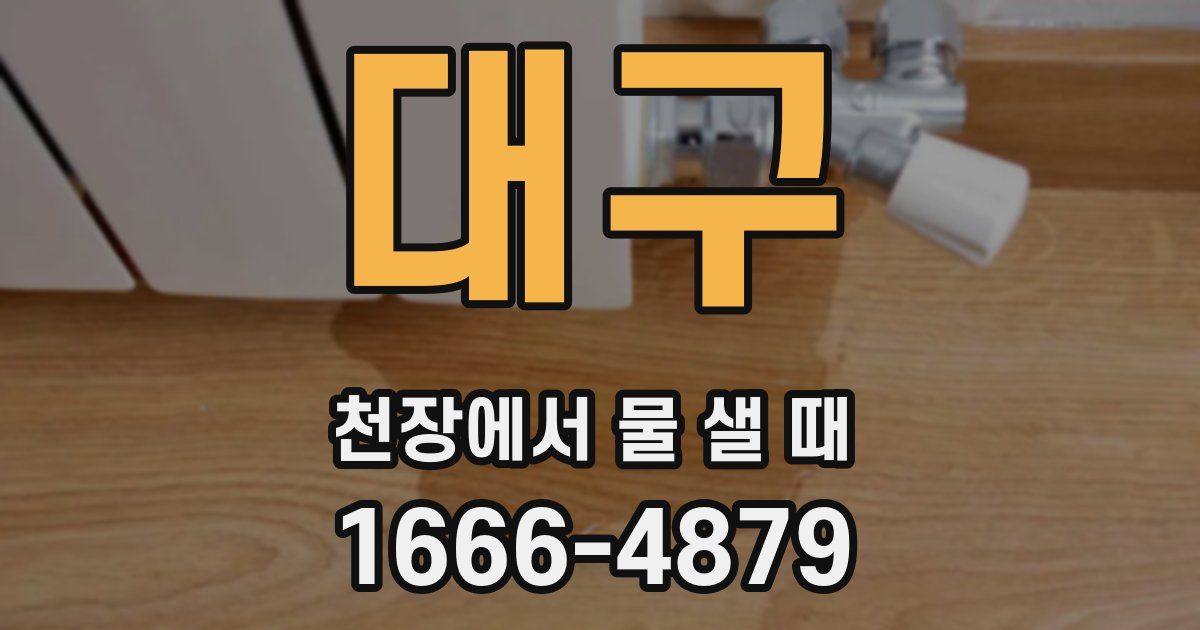 대구 천장에서 물 샐 때