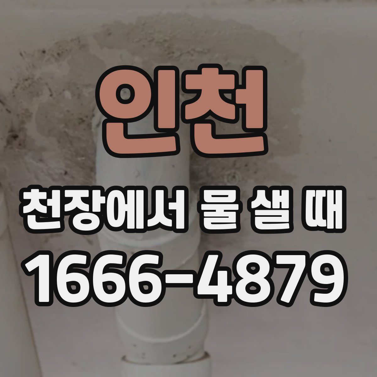 인천 천장에서 물 샐 때