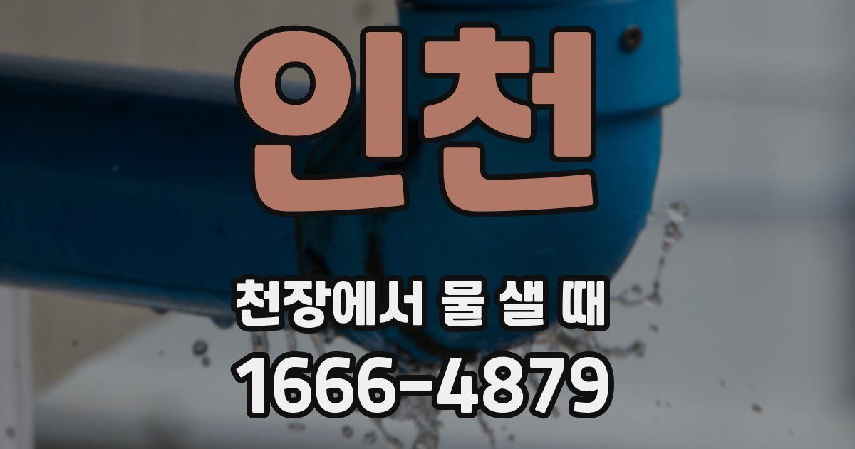인천 천장에서 물 샐 때