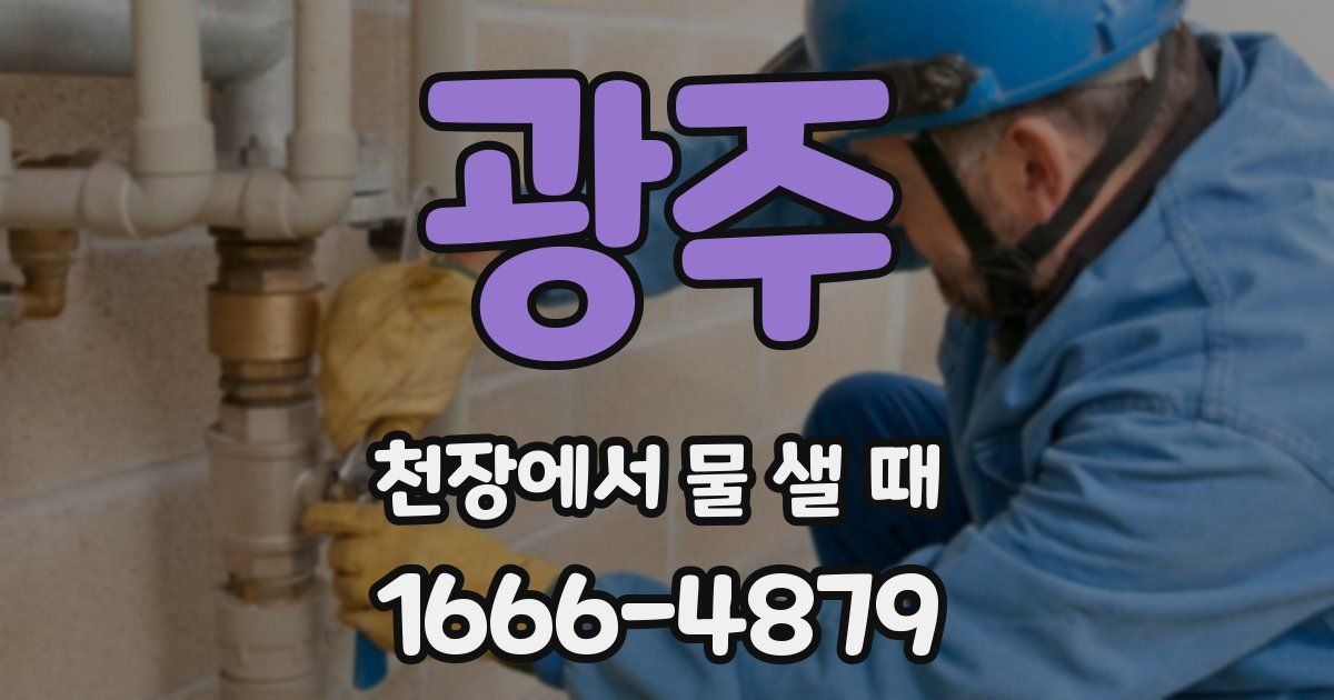 광주 천장에서 물 샐 때