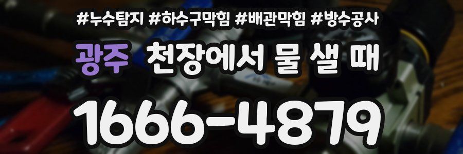 광주 천장에서 물 샐 때