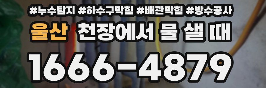 울산 천장에서 물 샐 때