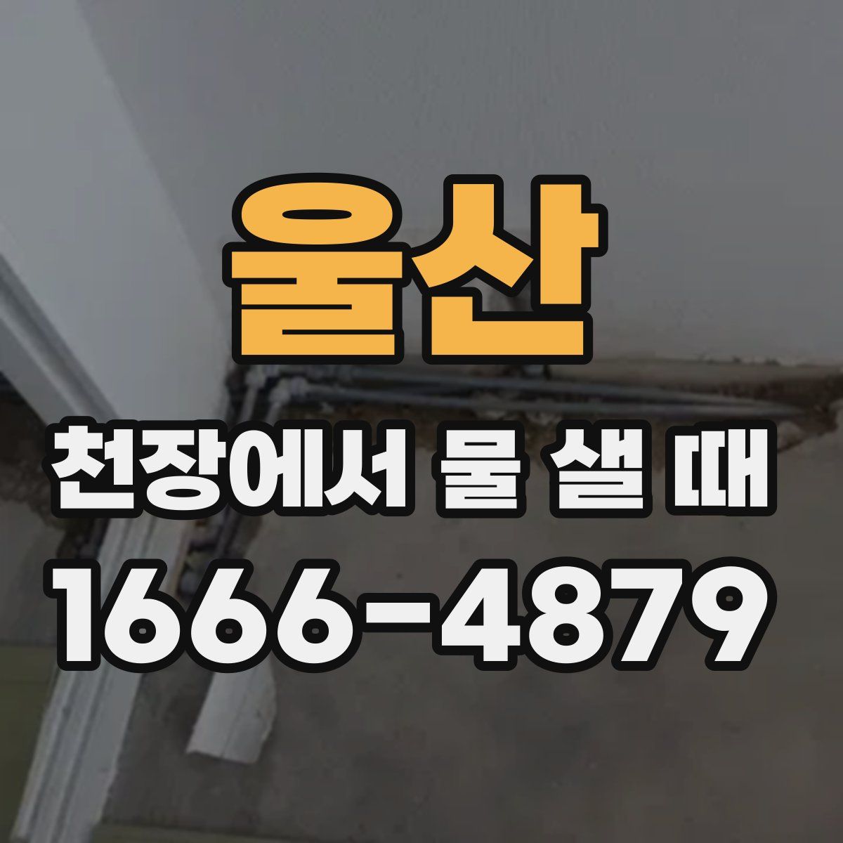 울산 천장에서 물 샐 때