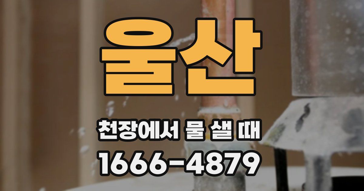 울산 천장에서 물 샐 때