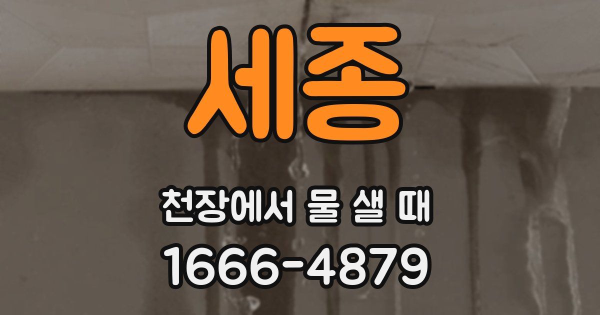 세종 천장에서 물 샐 때