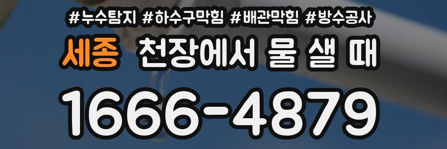 세종 천장에서 물 샐 때