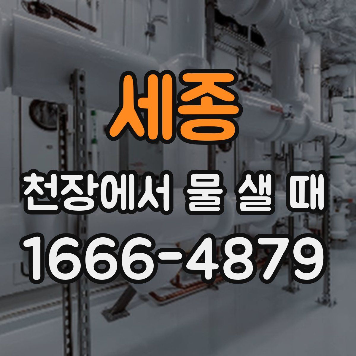 세종 천장에서 물 샐 때