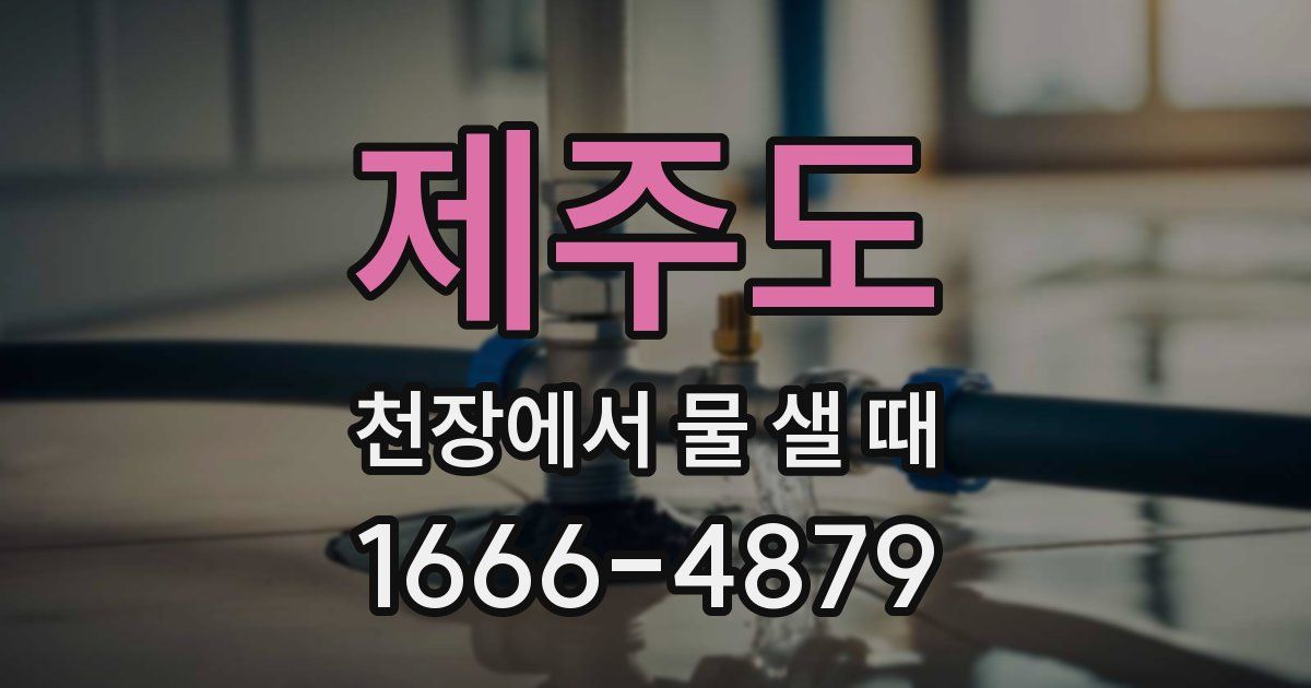 제주도 천장에서 물 샐 때