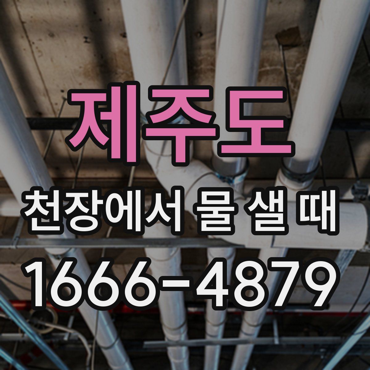 제주도 천장에서 물 샐 때