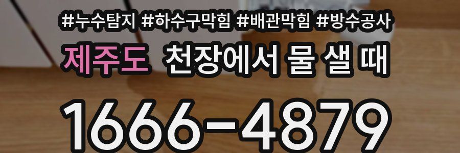 제주도 천장에서 물 샐 때
