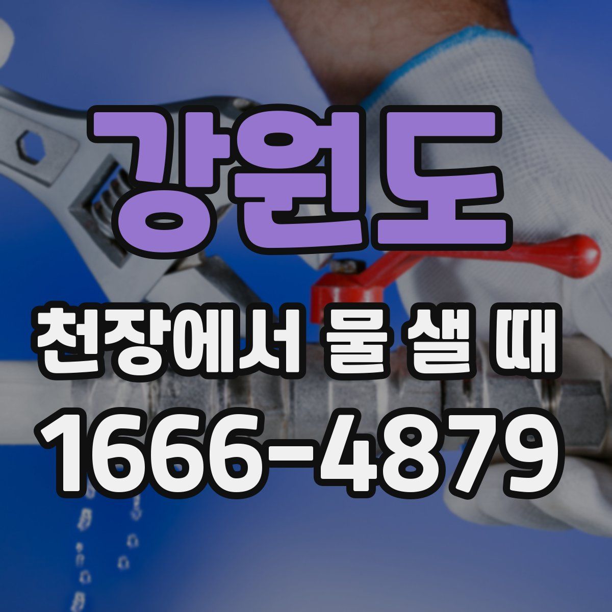 강원도 천장에서 물 샐 때