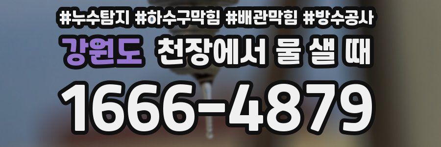 강원도 천장에서 물 샐 때
