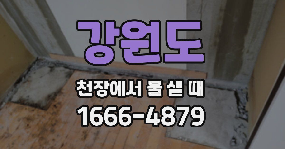 강원도 천장에서 물 샐 때